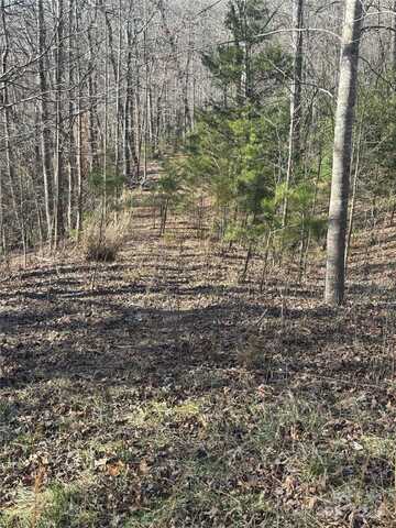 206 Westmoreland Trail unit: 8, Tryon, NC 28782