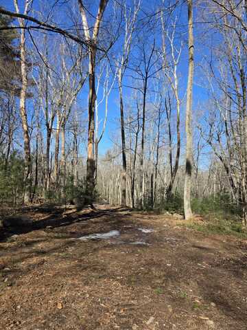 338 Lot 1-1 Brooklyn Road, Pomfret, CT 06259