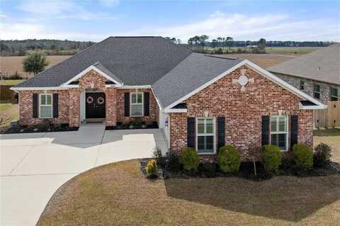 9025 Moses Way, Theodore, AL 36582