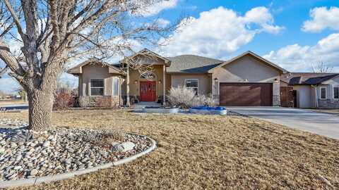 1252 Black Ridge Drive, Fruita, CO 81521