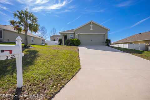 3525 N Burroughs Path, Beverly Hills, FL 34465