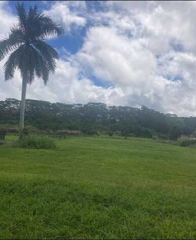16-2245 MAMAKA ST, Keaau, HI 96749