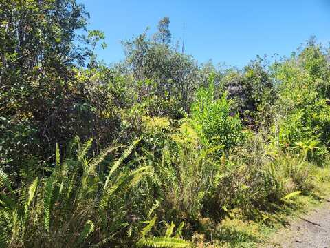 ROAD 6 (OOAA), Mountain View, HI 96760