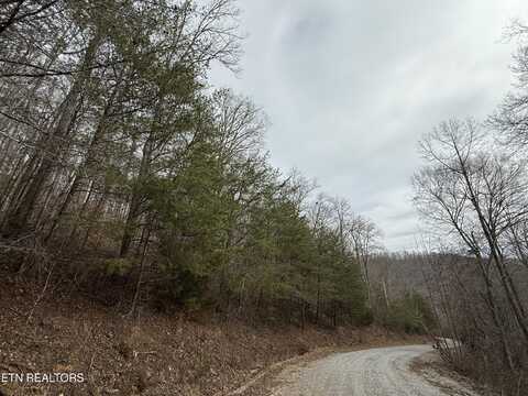 JONES RIDGE RD Rd, Speedwell, TN 37870