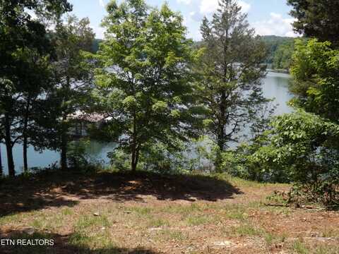 Tbd Lake Hollow Rd, Speedwell, TN 37870