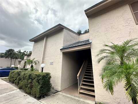 7522 NEEDLE LEAF PLACE, TAMPA, FL 33617