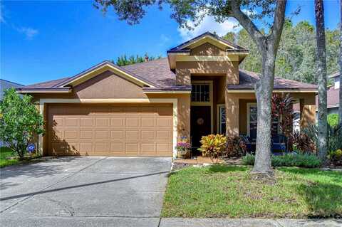 10222 WOODFORD BRIDGE STREET, TAMPA, FL 33626