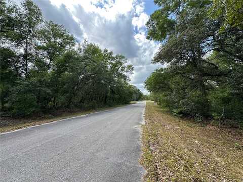 Tbd MALAUKA DRIVE, OCKLAWAHA, FL 32179