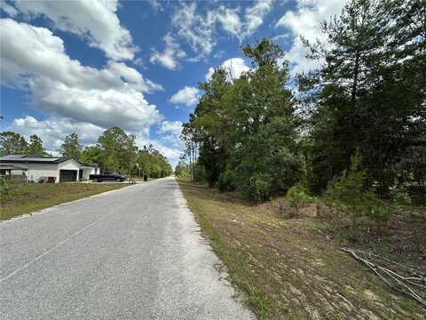 Tbd MALAUKA LANE, OCKLAWAHA, FL 32179