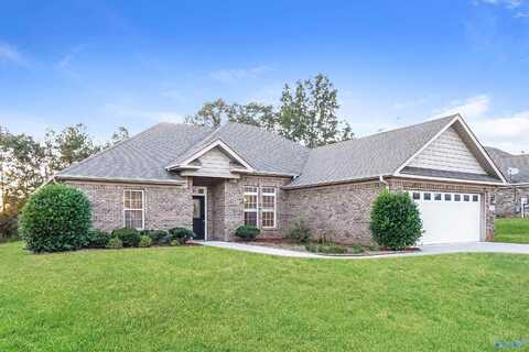 120 Archered Way, New Market, AL 35761