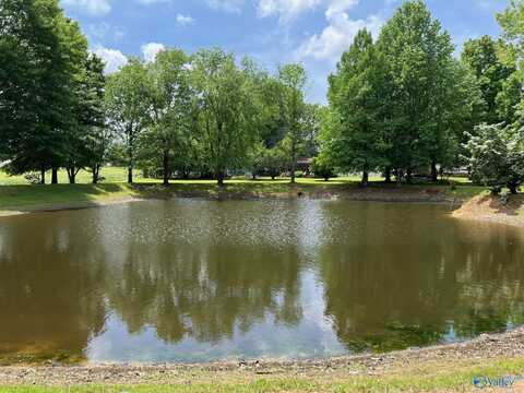 12731 Ripley Road, Athens, AL 35611
