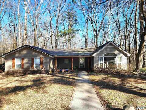 147 Butch Cash Road, Hazel Green, AL 35750