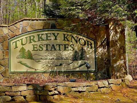 29 Oceola Drive, Ellijay, GA 30540
