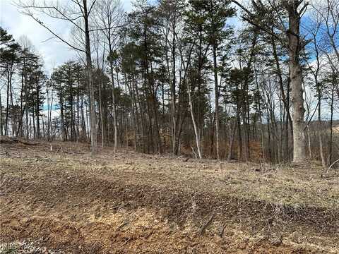 Fisher Ridge Rd, Tract 2, Fleming, OH 45729