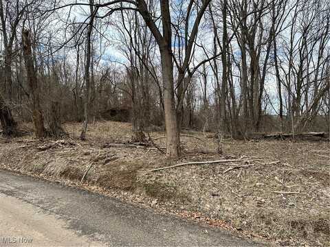 Fisher Ridge Road, Fleming, OH 45729