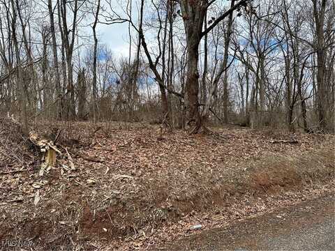 Fisher Ridge Rd, Tract 4, Fleming, OH 45729