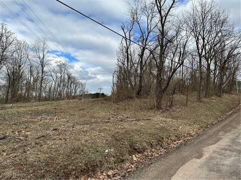 Fisher Ridge Rd, Tract 5, Fleming, OH 45729