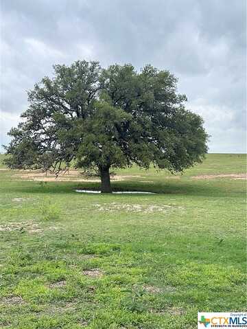 Tbd Tr 4 W Gates Valley Road, Poteet, TX 78065