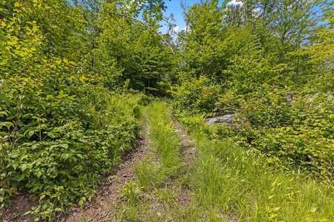 Lot 1 Marshall Road, Duxbury, VT 05676