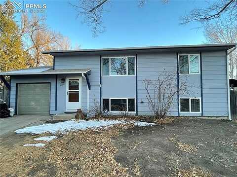 Neat, COLORADO SPRINGS, CO 80917