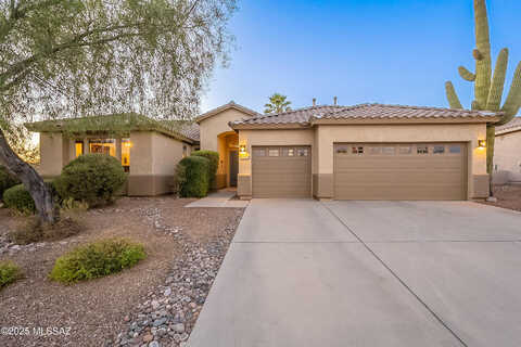 Ribbonwood, TUCSON, AZ 85737