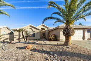 Bellflower, SUN LAKES, AZ 85248