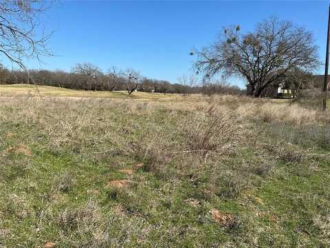 27215 Meadowmore Drive, Whitney, TX 76692