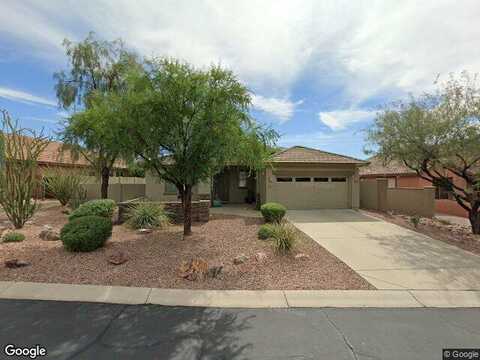 Elderberry, GOLD CANYON, AZ 85118