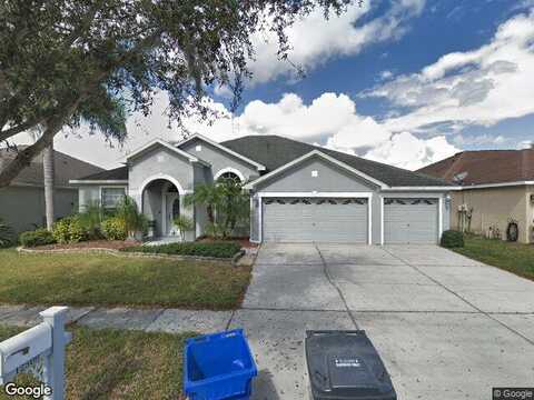 Safari, RIVERVIEW, FL 33579