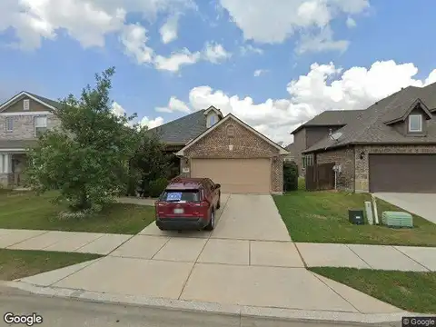 Barn Owl, LITTLE ELM, TX 75068