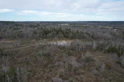 Tbd County Road 378, Laneville, TX 75667