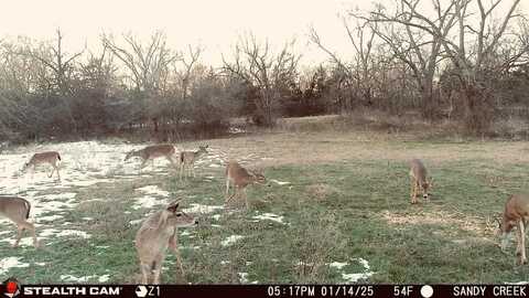 600 Gilbreath, Sadler, TX 76264