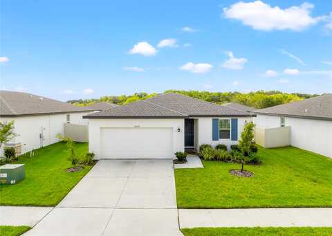 Finn Clover, ZEPHYRHILLS, FL 33540