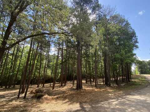 TBD Athens Church Road, Hallsville, TX 75650
