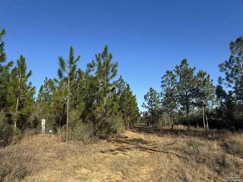 2569 Walling Rd, Milton, FL 32570