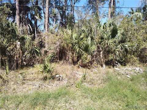 8213 W Ox Eye Place, Homosassa, FL 34448