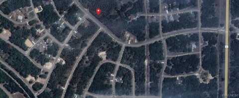 1625 W G Martinelli Boulevard, Citrus Springs, FL 34434