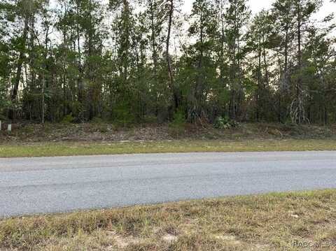 25 Village Center Drive, Homosassa, FL 34446