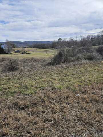 Hwy 411, Benton, TN 37307