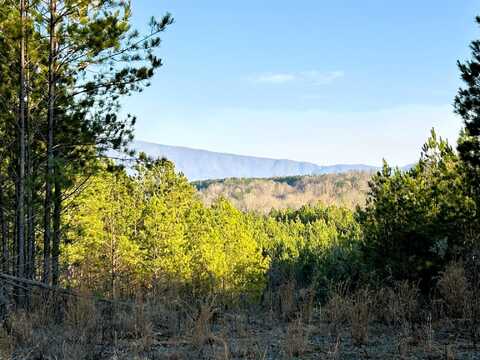Freedom Way, Calhoun, TN 37309