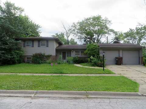 Hickory, PARK FOREST, IL 60466