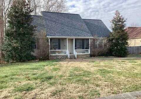 Sassafras, GOODLETTSVILLE, TN 37072