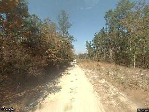 Carlton Dr, BATESBURG, SC 29006