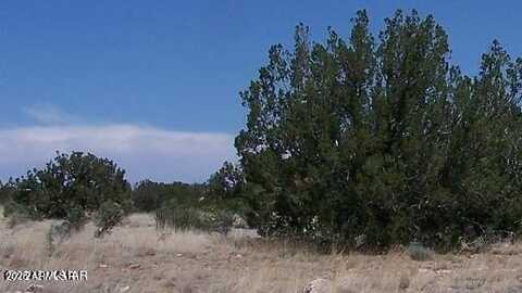 Sec 13 T14N, R16E:E2 Nw4 Se4 --, Heber, AZ 85928