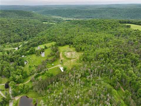 320 Owl Creek Rd, Spencer, NY 14883