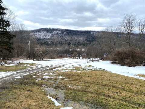 Brad Adams Road, Wellsville, NY 14895