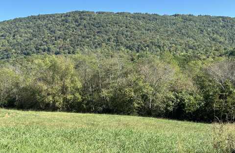 Lot 3 Brownville Trail, Pikeville, TN 37367