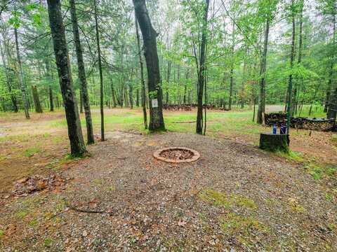 4537 Pine Run, Farwell, MI 48622