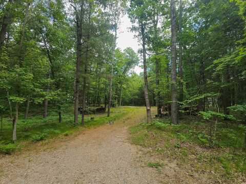 4537 Pine Run, Farwell, MI 48622