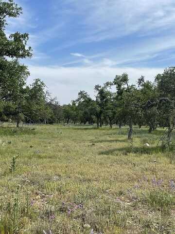 20 Scott Branch Rd, Harper, TX 78631